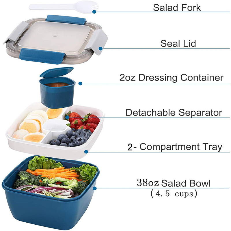 Di Động Salad Ăn Trưa Đựng Sal - đánh giá và giá Food Storage Vault