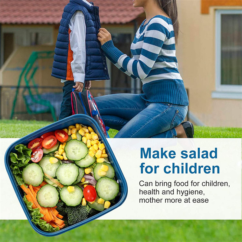 Di Động Salad Ăn Trưa Đựng Sal - đánh giá và giá Food Storage Vault