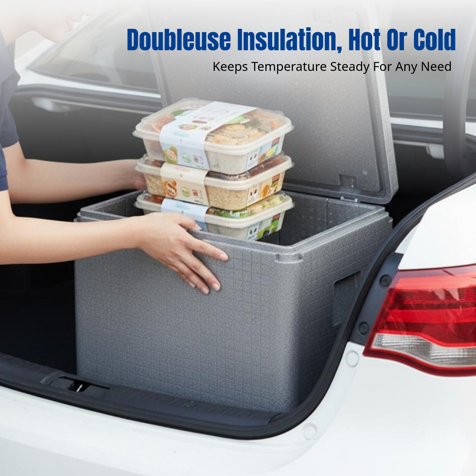 Large EPP Foam Cooler Box, Foo - đánh giá và giá Food Storage Hot Box