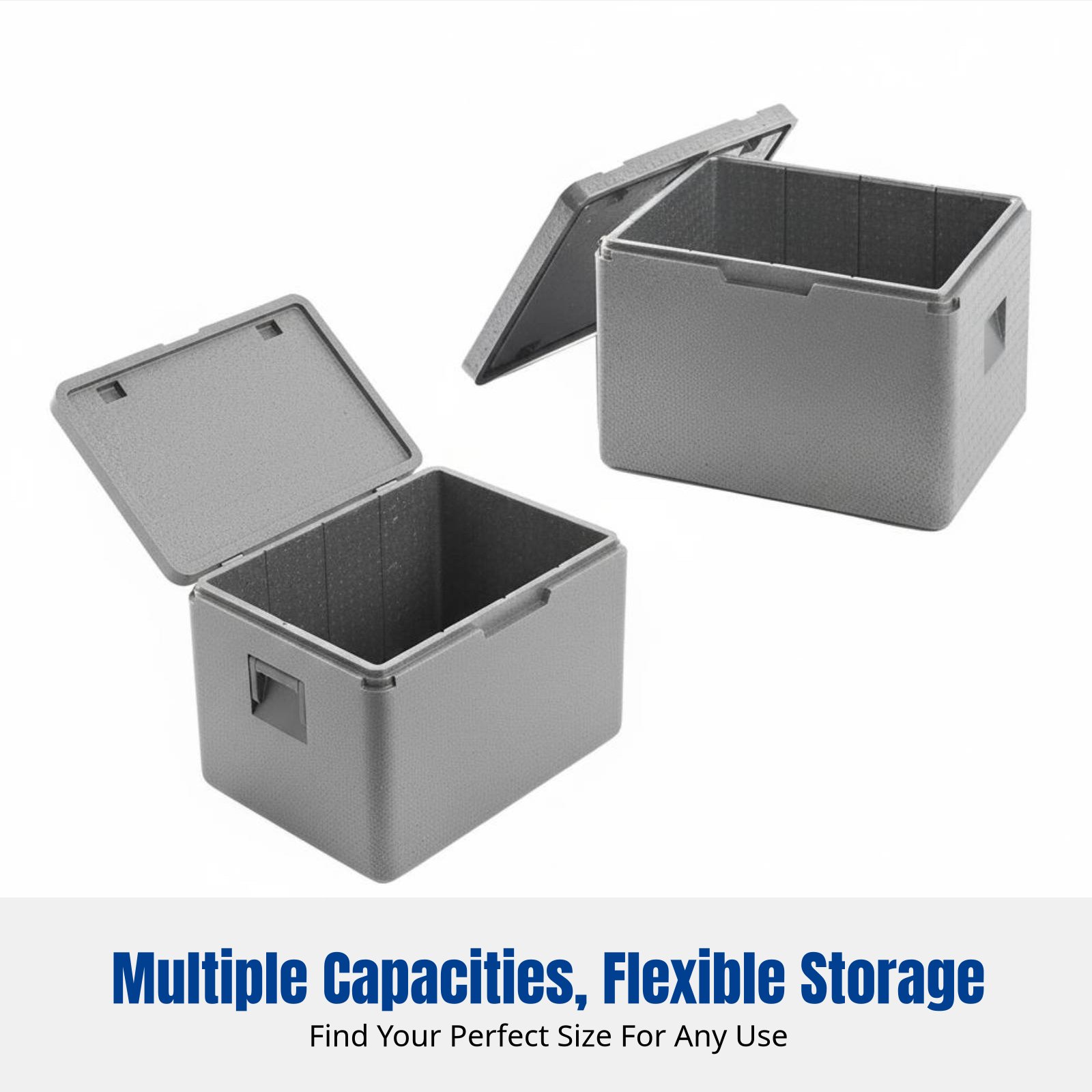 Large EPP Foam Cooler Box, Foo - đánh giá và giá Food Storage Hot Box