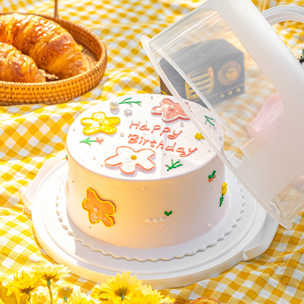 Cake Storage Box 10 Inch Round - đánh giá và giá Food Storage Box Plastic