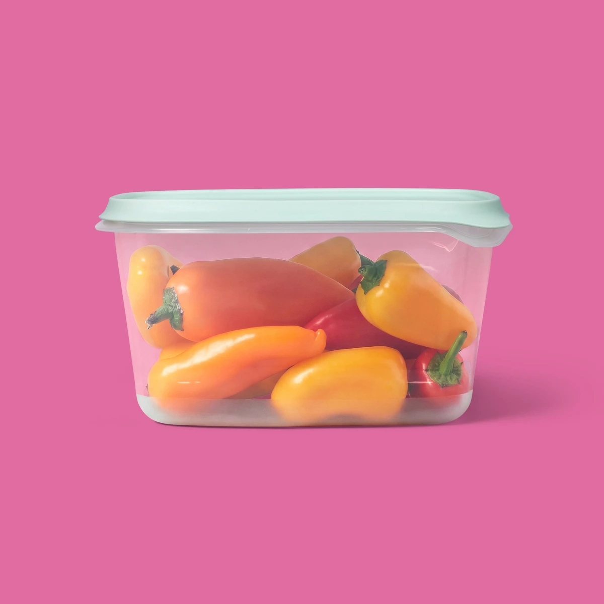 2026 New 2 Pack 48oz Large Rec - đánh giá và giá Food Storage Large Plastic Containers