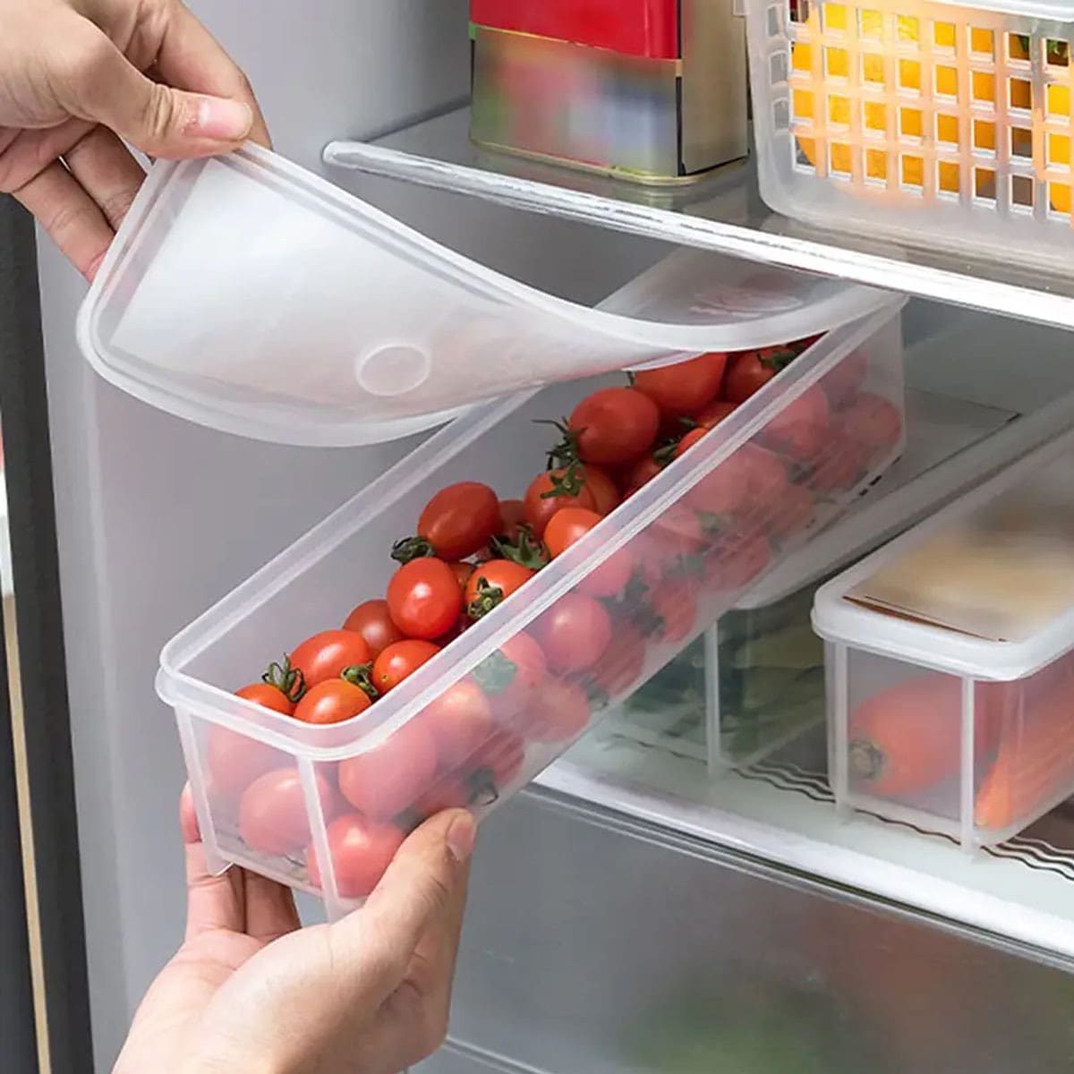 1 Plastic Transparent Storage  - đánh giá và giá Food Storage Box Plastic