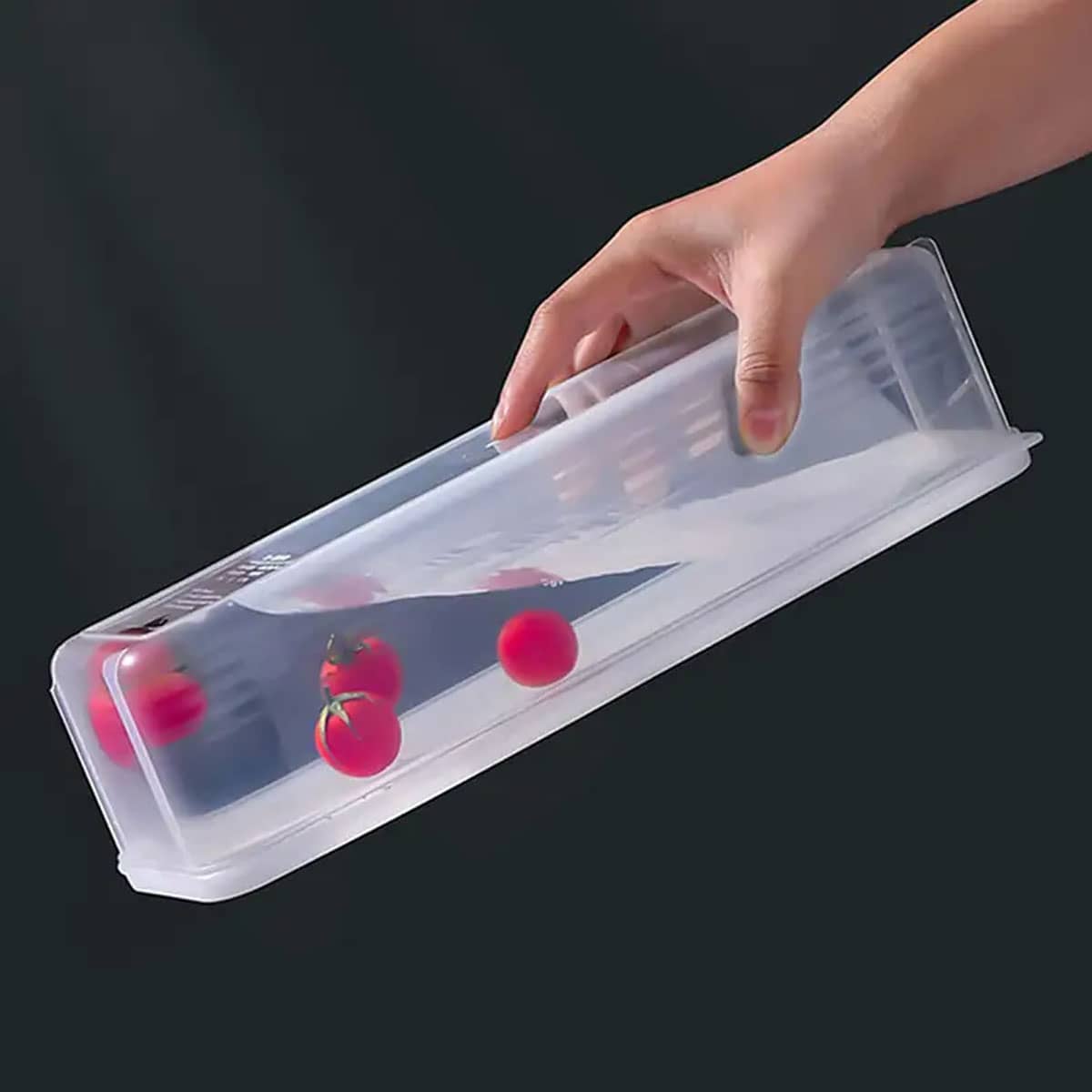 1 Plastic Transparent Storage  - đánh giá và giá Food Storage Box Plastic